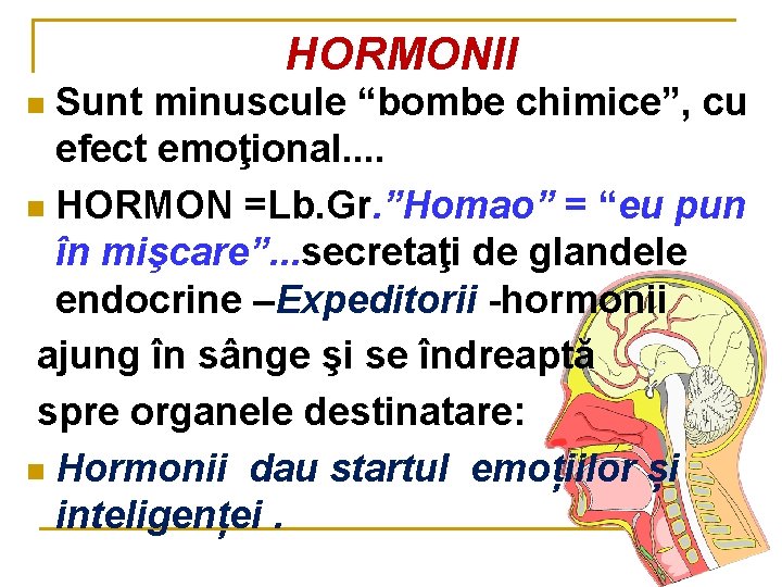 HORMONII Sunt minuscule “bombe chimice”, cu efect emoţional. . n HORMON =Lb. Gr. ”Homao”