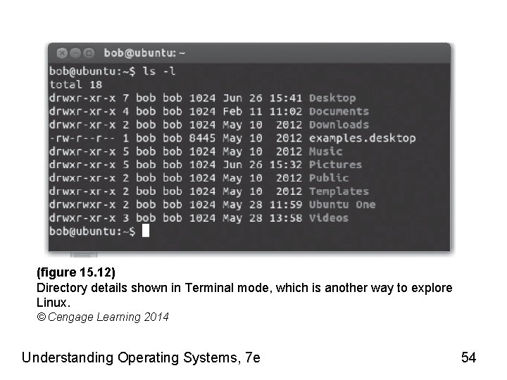 (figure 15. 12) Directory details shown in Terminal mode, which is another way to