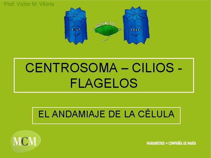 Prof. Víctor M. Vitoria CENTROSOMA – CILIOS FLAGELOS EL ANDAMIAJE DE LA CÉLULA Prof. Víctor M. Vitoria CENTROSOMA – CILIOS FLAGELOS EL ANDAMIAJE DE LA CÉLULA