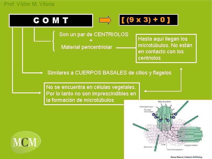 Prof. Víctor M. Vitoria COMT [ (9 x 3) + 0 ] Son un