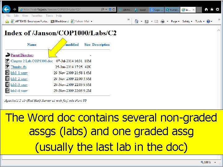 The Word doc contains several non-graded assgs (labs) and one graded assg (usually the