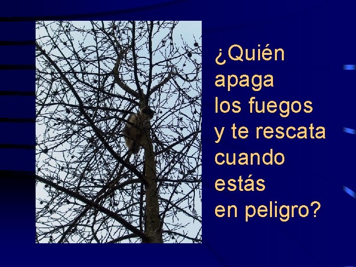 ¿Quién apaga los fuegos y te rescata cuando estás en peligro? 