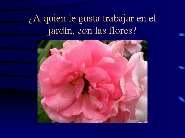 ¿A quién le gusta trabajar en el jardín, con las flores? 