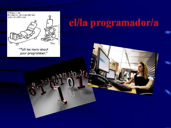 el/la programador/a 