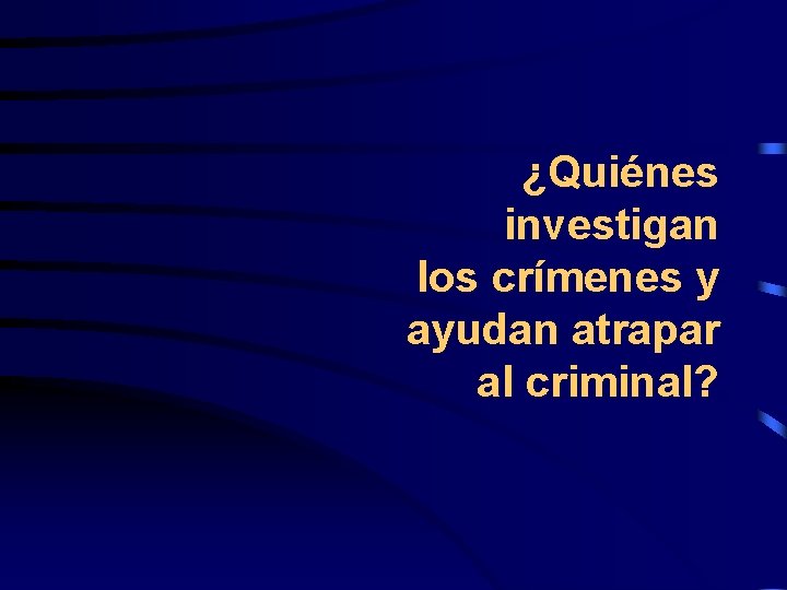 ¿Quiénes investigan los crímenes y ayudan atrapar al criminal? 