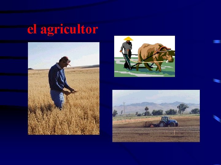 el agricultor 