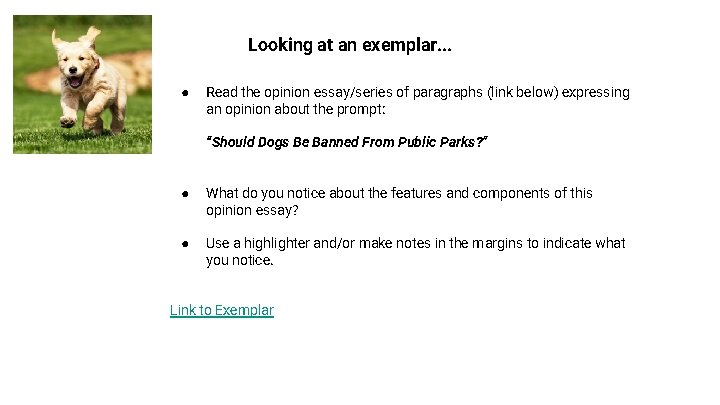 Looking at an exemplar. . . ● Read the opinion essay/series of paragraphs (link