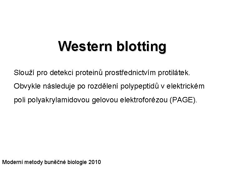 Western blotting Slouží pro detekci proteinů prostřednictvím protilátek. Obvykle následuje po rozdělení polypeptidů v