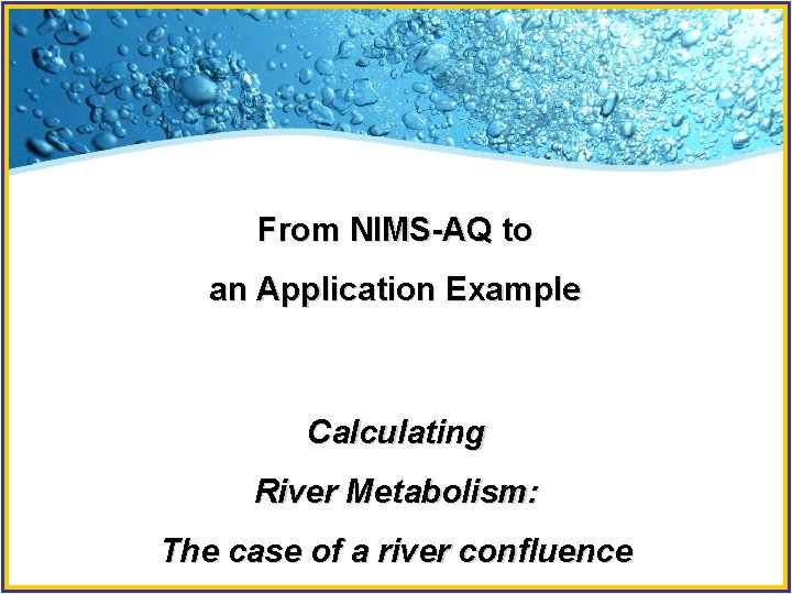 From NIMS-AQ to an Application Example Calculating River Metabolism: The case of a river