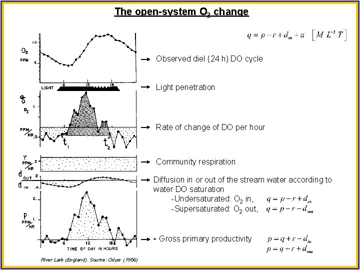 The open-system O 2 change Observed diel (24 h) DO cycle Light penetration Rate