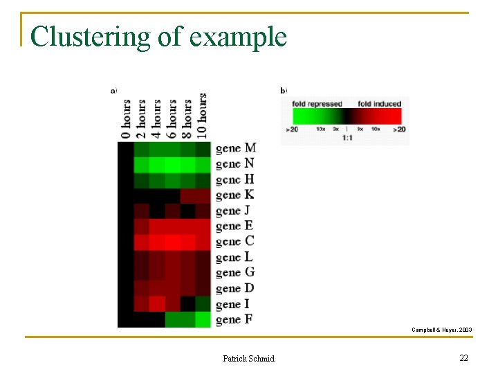 Clustering of example Campbell & Heyer, 2003 Patrick Schmid 22 Clustering of example Campbell & Heyer, 2003 Patrick Schmid 22