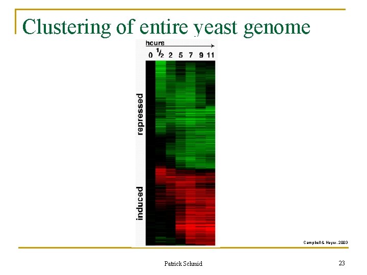 Clustering of entire yeast genome Campbell & Heyer, 2003 Patrick Schmid 23 Clustering of entire yeast genome Campbell & Heyer, 2003 Patrick Schmid 23