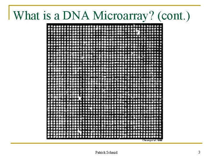 What is a DNA Microarray? (cont. ) Cheung et al. 1999 Patrick Schmid 3 What is a DNA Microarray? (cont. ) Cheung et al. 1999 Patrick Schmid 3