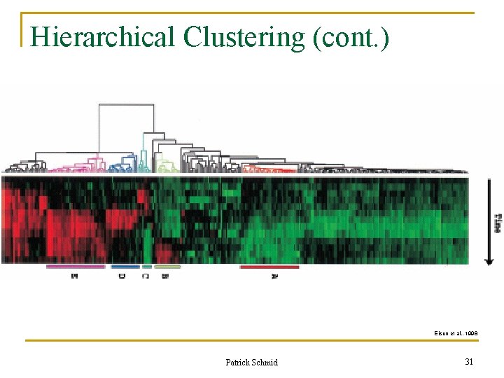 Hierarchical Clustering (cont. ) Eisen et al. , 1998 Patrick Schmid 31 Hierarchical Clustering (cont. ) Eisen et al. , 1998 Patrick Schmid 31