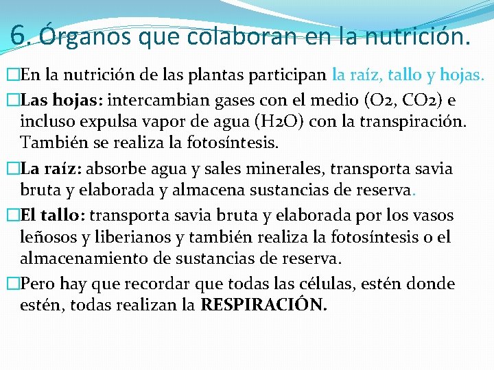 6. Órganos que colaboran en la nutrición. �En la nutrición de las plantas participan