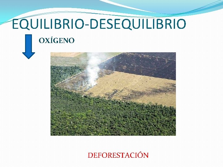 EQUILIBRIO-DESEQUILIBRIO OXÍGENO DEFORESTACIÓN 