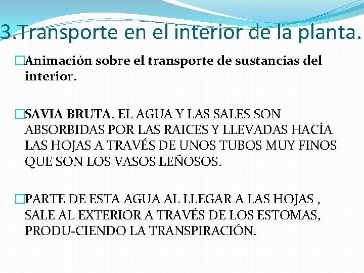 3. Transporte en el interior de la planta. �Animación sobre el transporte de sustancias