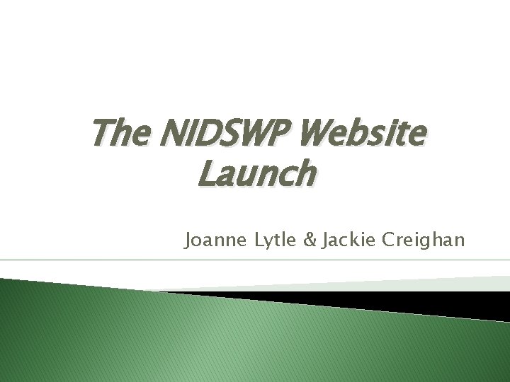 The NIDSWP Website Launch Joanne Lytle & Jackie Creighan The NIDSWP Website Launch Joanne Lytle & Jackie Creighan