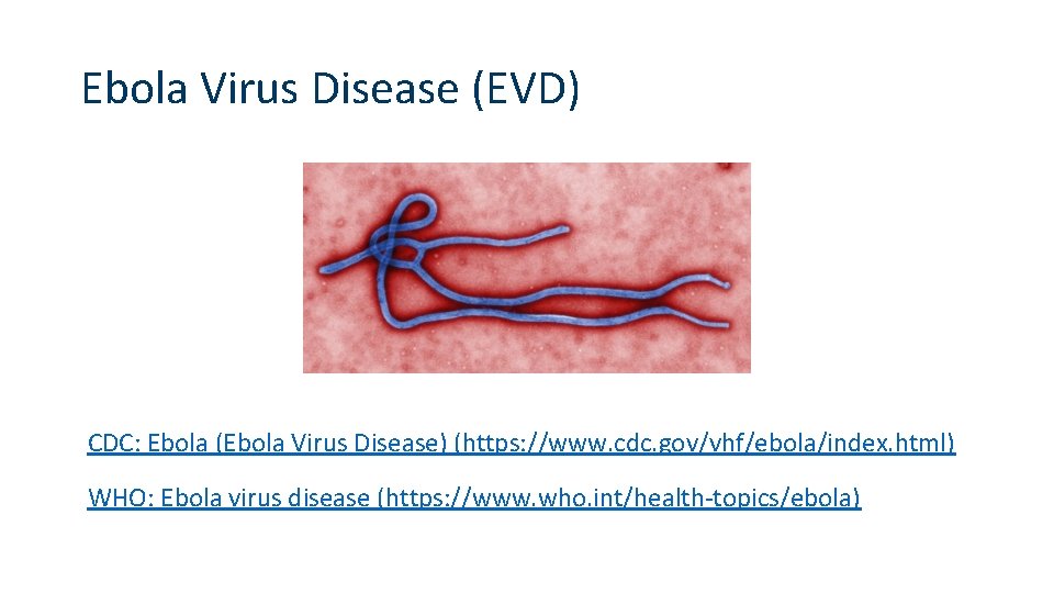 Ebola Virus Disease (EVD) CDC: Ebola (Ebola Virus Disease) (https: //www. cdc. gov/vhf/ebola/index. html)