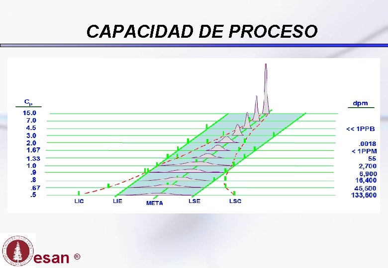 CAPACIDAD DE PROCESO esan ® 