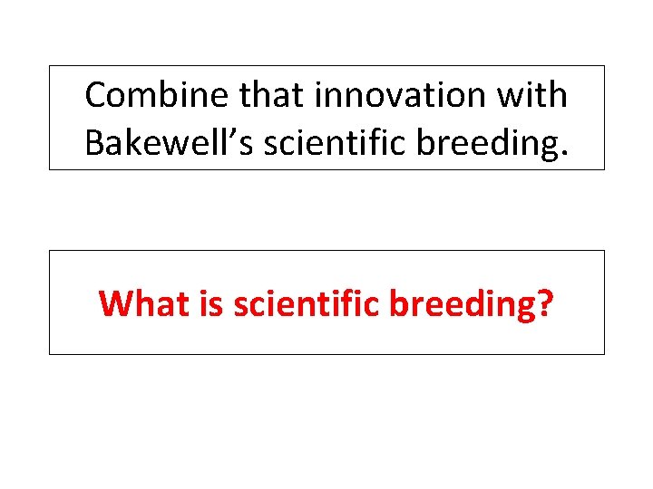 Combine that innovation with Bakewell’s scientific breeding. What is scientific breeding? 