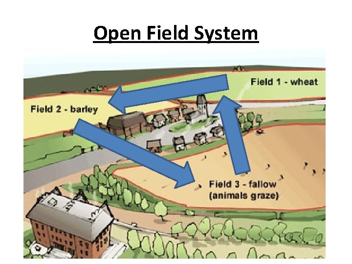 Open Field System 