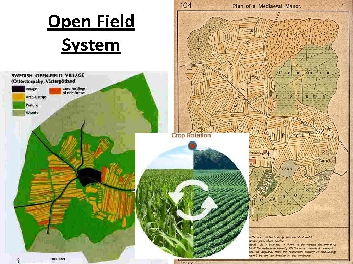 Open Field System 