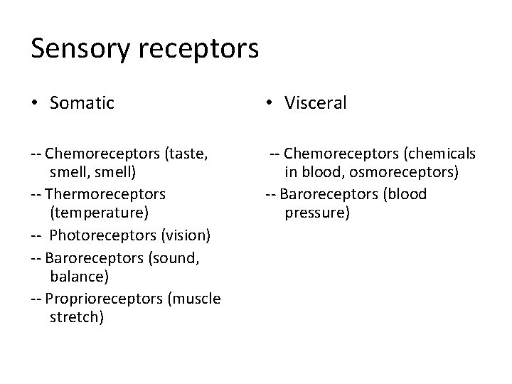 Sensory receptors • Somatic • Visceral -- Chemoreceptors (taste, smell) -- Thermoreceptors (temperature) -- Sensory receptors • Somatic • Visceral -- Chemoreceptors (taste, smell) -- Thermoreceptors (temperature) --