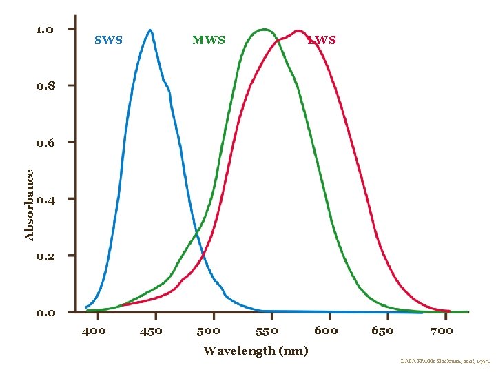 1. 0 SWS MWS LWS 0. 8 Absorbance 0. 6 0. 4 0. 2 1. 0 SWS MWS LWS 0. 8 Absorbance 0. 6 0. 4 0. 2
