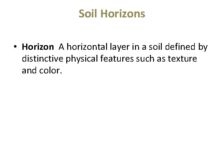 Soil Horizons • Horizon A horizontal layer in a soil defined by distinctive physical