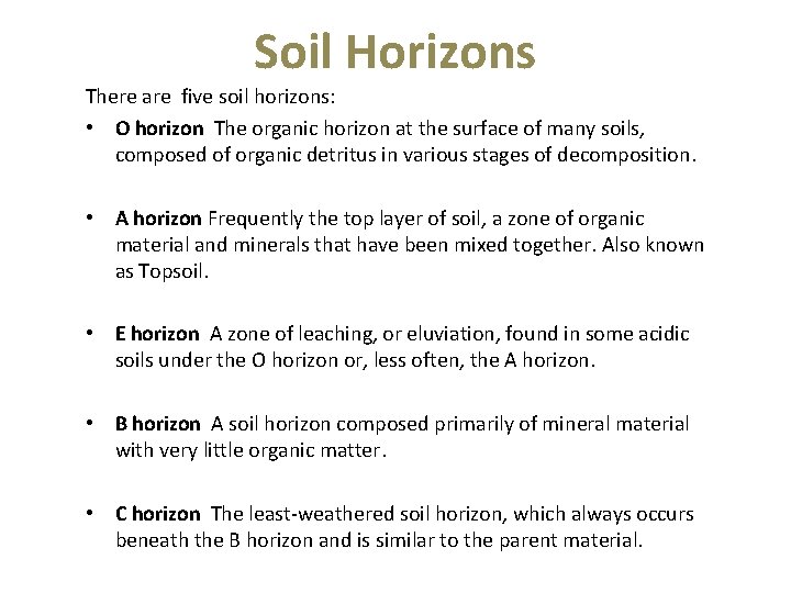 Soil Horizons There are five soil horizons: • O horizon The organic horizon at