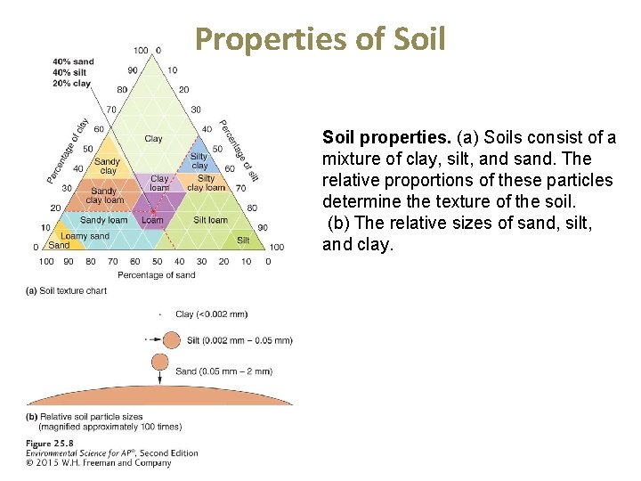 Properties of Soil properties. (a) Soils consist of a mixture of clay, silt, and
