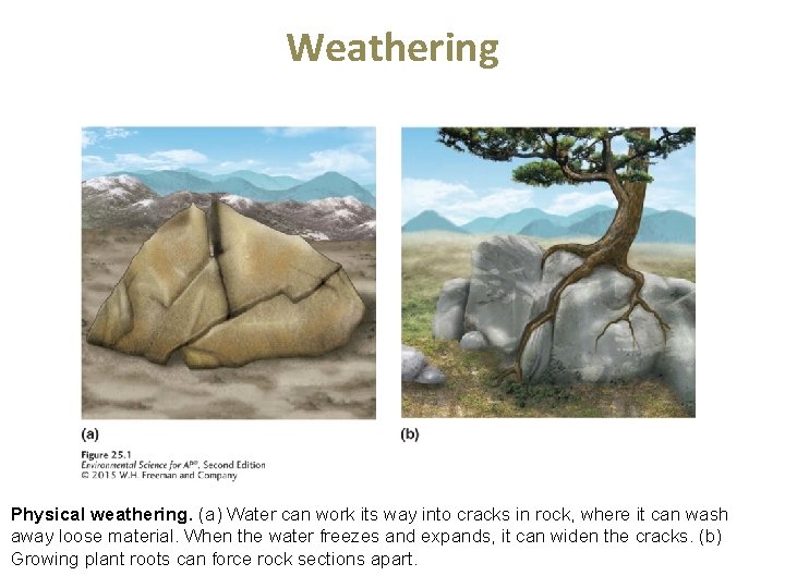 Weathering Physical weathering. (a) Water can work its way into cracks in rock, where