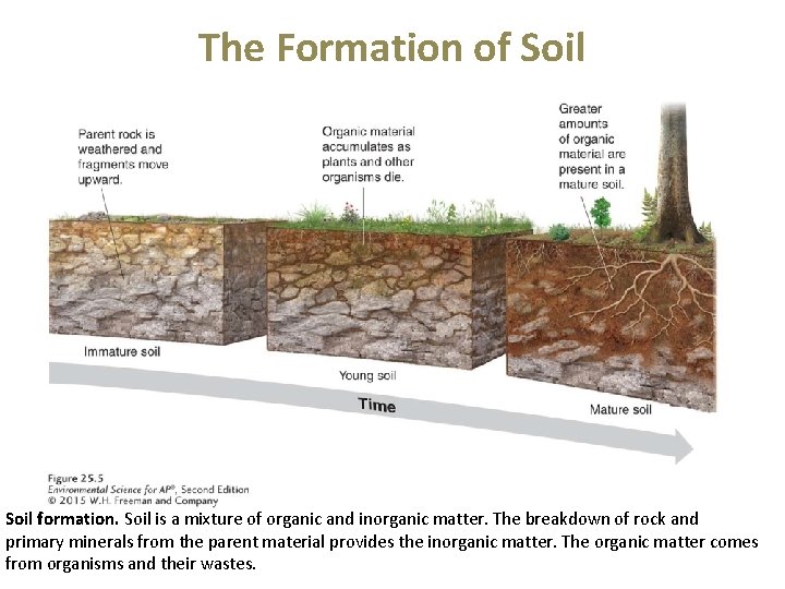 The Formation of Soil formation. Soil is a mixture of organic and inorganic matter.