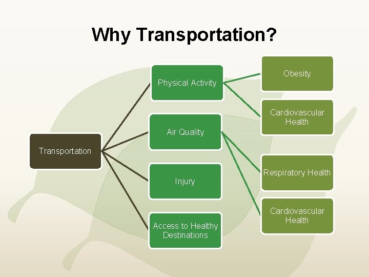 Why Transportation? Obesity Physical Activity Cardiovascular Health Air Quality Transportation Injury Access to Healthy