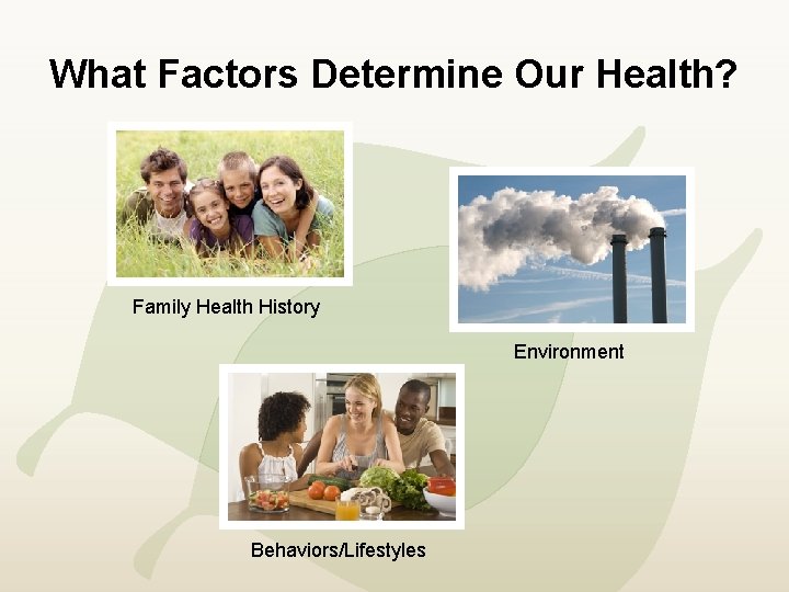 What Factors Determine Our Health? Family Health History Environment Behaviors/Lifestyles 