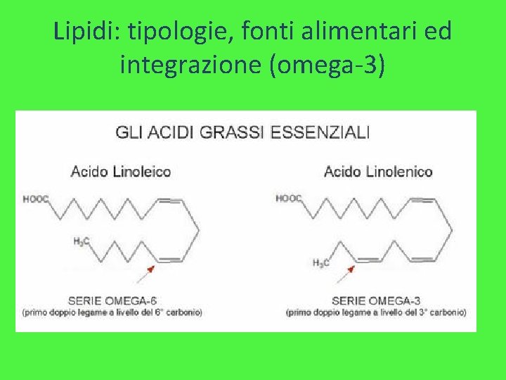 Lipidi: tipologie, fonti alimentari ed integrazione (omega-3) 