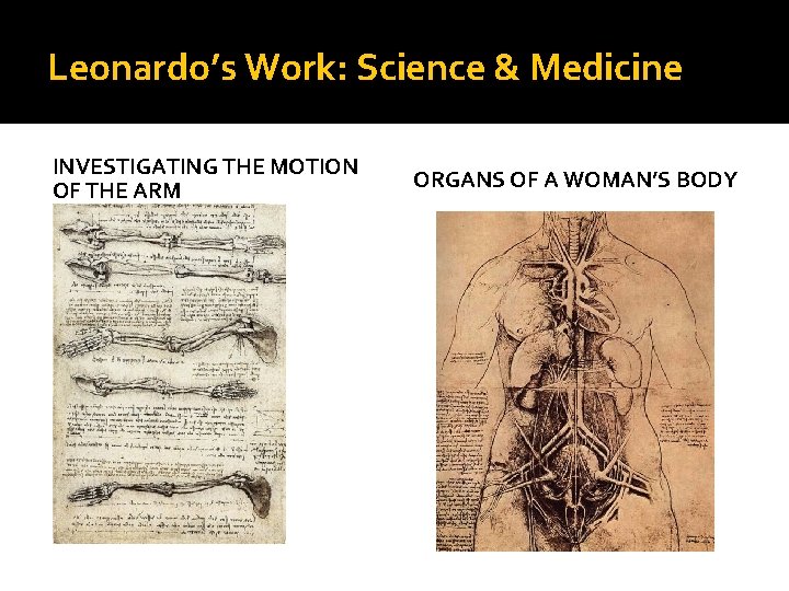 Leonardo’s Work: Science & Medicine INVESTIGATING THE MOTION OF THE ARM ORGANS OF A