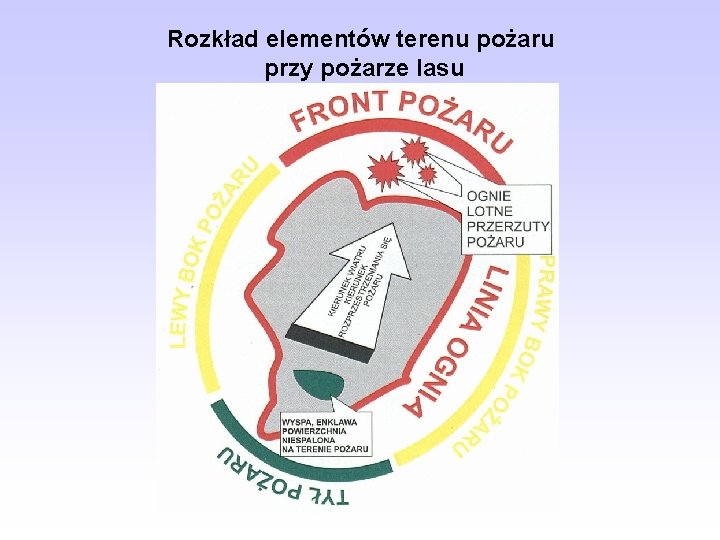 Rozkład elementów terenu pożaru przy pożarze lasu 