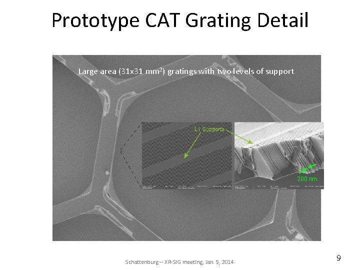 Prototype CAT Grating Detail Large area (31 x 31 mm 2) gratings with two Prototype CAT Grating Detail Large area (31 x 31 mm 2) gratings with two