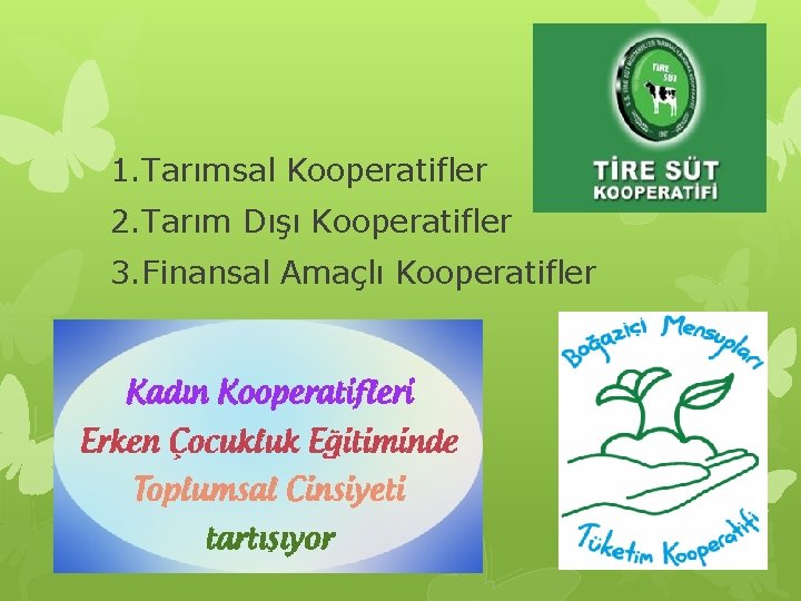 1. Tarımsal Kooperatifler 2. Tarım Dışı Kooperatifler 3. Finansal Amaçlı Kooperatifler 