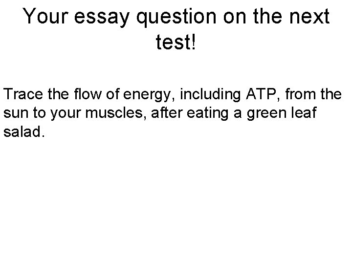 Your essay question on the next test! Trace the flow of energy, including ATP, Your essay question on the next test! Trace the flow of energy, including ATP,