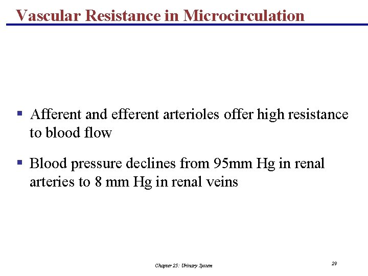 Vascular Resistance in Microcirculation § Afferent and efferent arterioles offer high resistance to blood