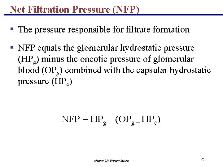 Net Filtration Pressure (NFP) § The pressure responsible for filtrate formation § NFP equals