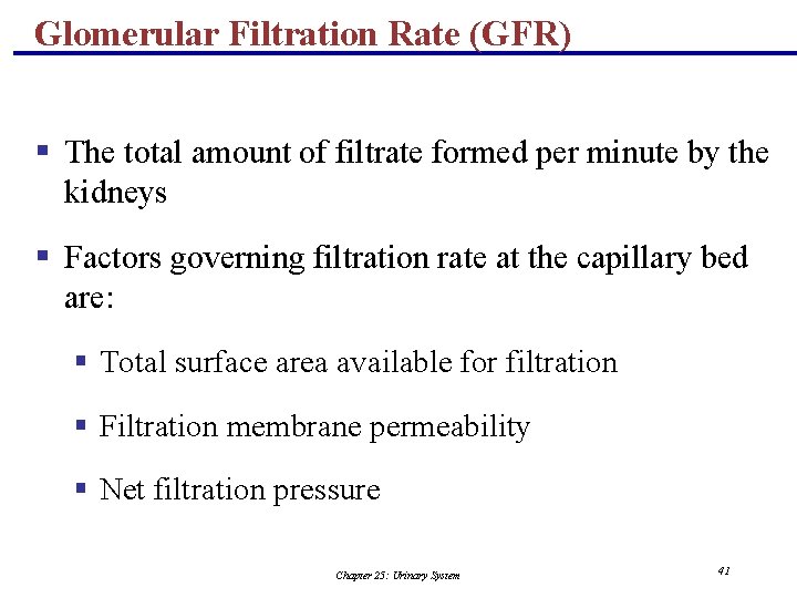 Glomerular Filtration Rate (GFR) § The total amount of filtrate formed per minute by