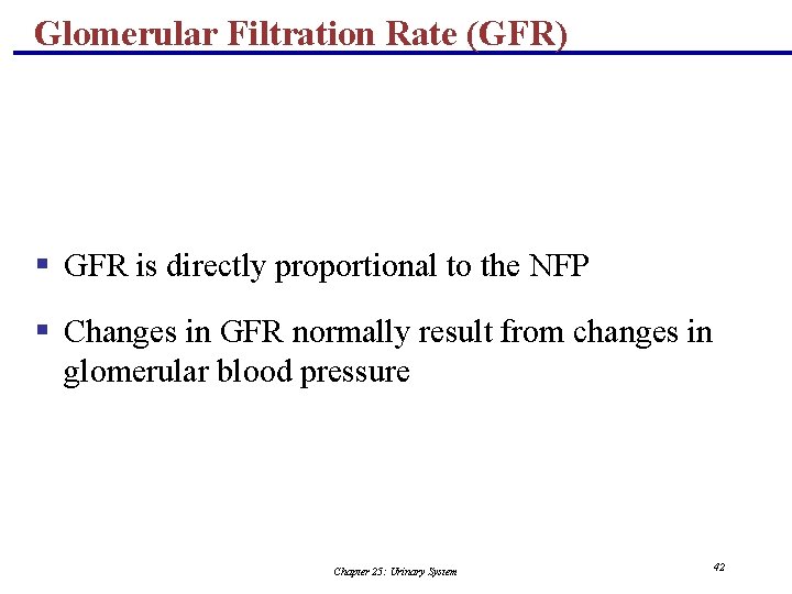 Glomerular Filtration Rate (GFR) § GFR is directly proportional to the NFP § Changes