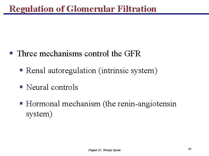 Regulation of Glomerular Filtration § Three mechanisms control the GFR § Renal autoregulation (intrinsic