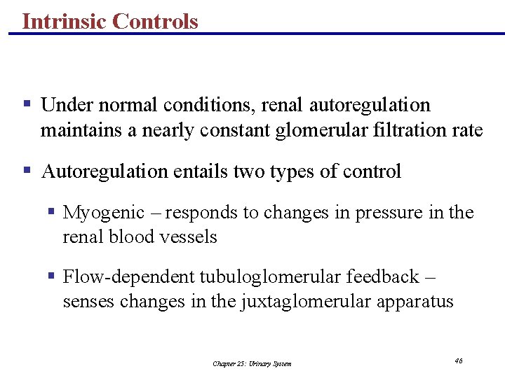 Intrinsic Controls § Under normal conditions, renal autoregulation maintains a nearly constant glomerular filtration