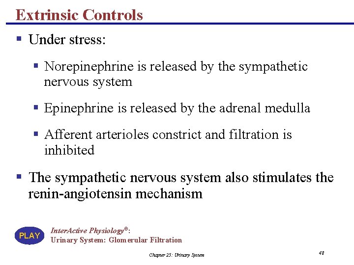Extrinsic Controls § Under stress: § Norepinephrine is released by the sympathetic nervous system