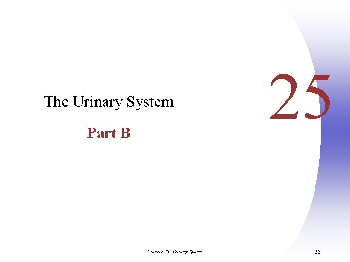 The Urinary System Part B Chapter 25: Urinary System 25 52 